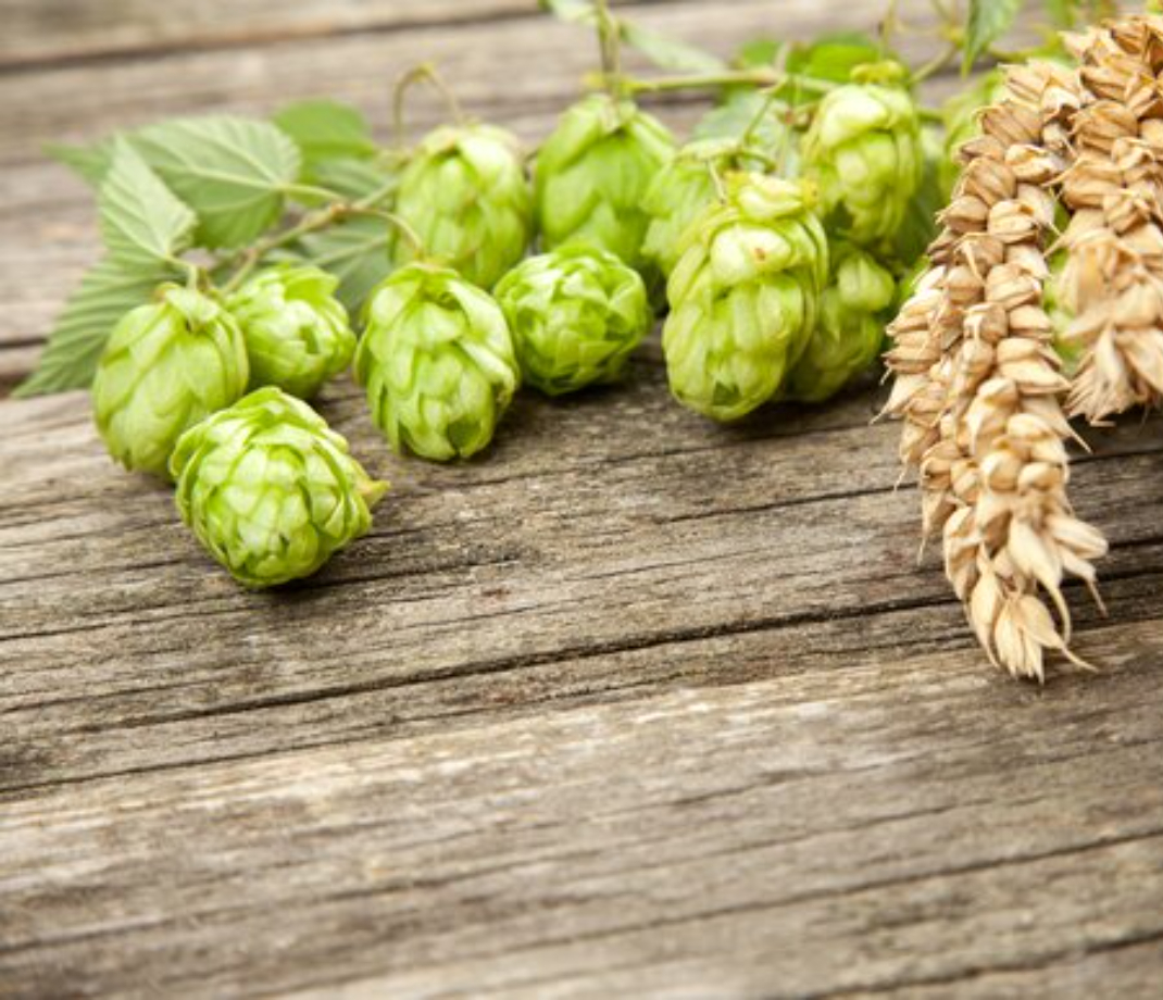 Are Hops Gluten Free