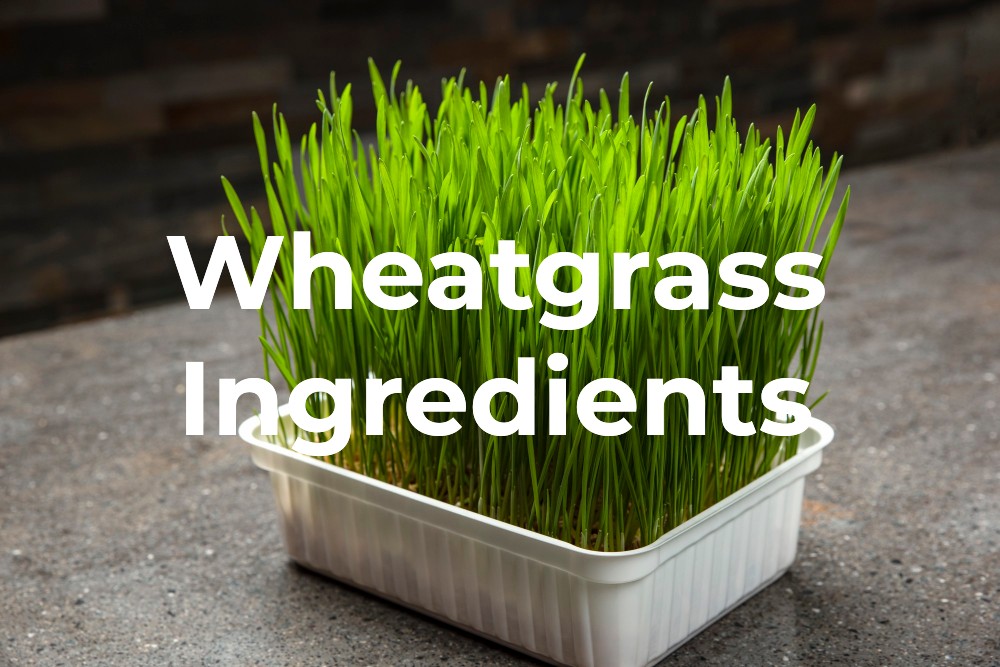 Is Wheatgrass Gluten-Free?