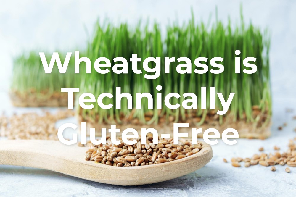 Is Wheatgrass Gluten-Free?