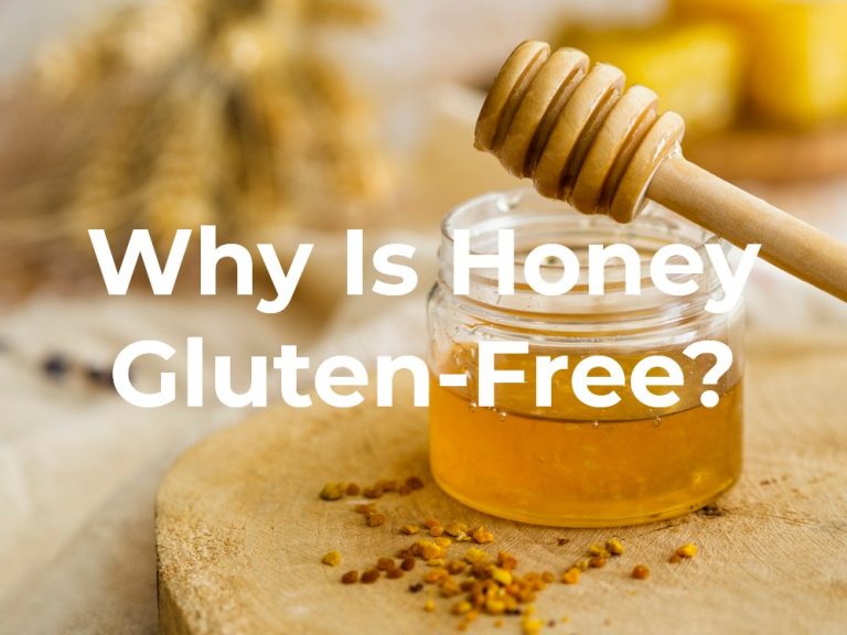Is Honey GlutenFree? [Answered!] 2024