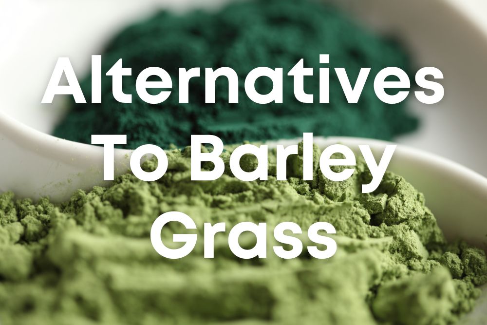 Is Barley Grass Gluten-Free?
